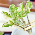 長生うどん - コシアブラ天