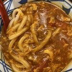 丸亀製麺 - うどんが見えないくらいルーをかけて欲しいなあ