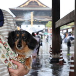 エヴォルベ - 善光寺