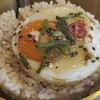 タイレンセイキン