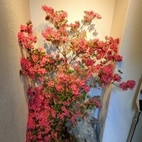 割烹 隆 - 