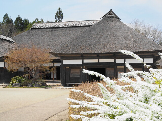 彩のやかた（イロドリノヤカヤ） - 蔵王町その他（ソフトクリーム）の写真