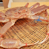 三田牛竈炭火焼 ウェスタ - 