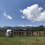 ヤツレン ソフトクリーム売店 - 