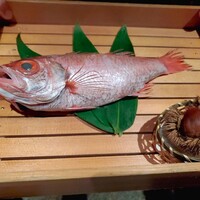 のどぐろ専門 銀座中俣 はなれ - 