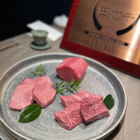 USHIGORO S. SHINJUKU - 