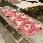 Nose to Tail - タンゲタ