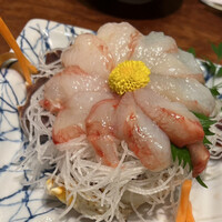 かに道楽 新宿本店 - 