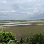 さくら坂ＶＩＶＡＣＥ - 