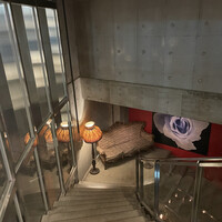 TOOTH TOOTH TOKYO - 