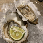 TAVERN 3jo - 厚岸の生牡蠣　年中食べれるそうです