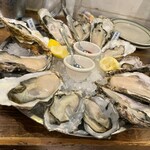 SALTY Oyster House - 