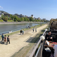 京料理 先斗町 富美家 - 