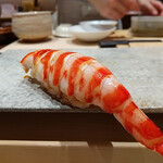 鮨 由う - 車海老