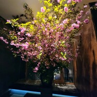 丸新 - お花がお出迎え