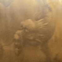 筑紫樓 銀座店 - 