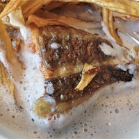 イリエスケープ - ごぼうのスープ　鮮魚のフリットと供に