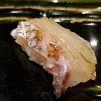 月の木 - 