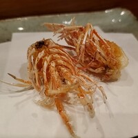 天冨良 よこ田 - 