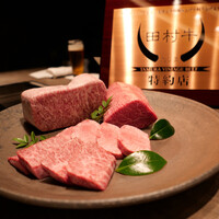 USHIGORO S. SHINJUKU - 