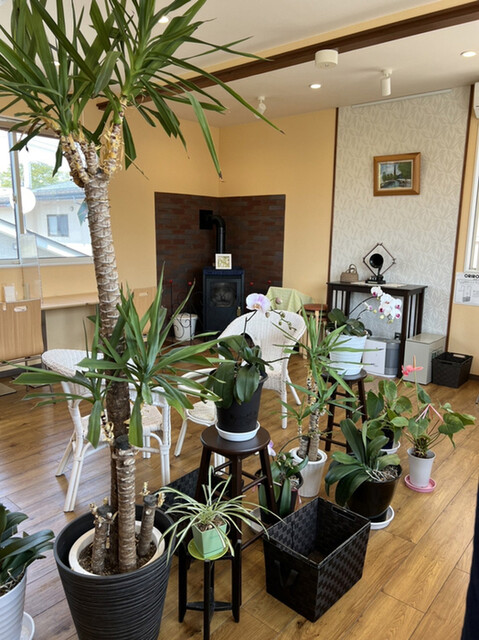 ジェラテリア アガーレ - 山形（ジェラート・アイスクリーム）の写真