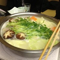 博多水炊きと焼き鳥 鳥善 銀座店 - 水炊き