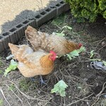 イースト・ロード - 