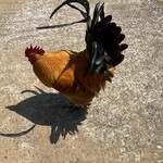 イースト・ロード - 