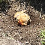 イースト・ロード - 