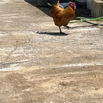 イースト・ロード - 