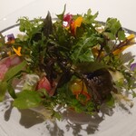 レフェルヴェソンス - Ars longa, Vita brevis アルチザン野菜