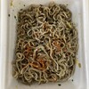 善光寺 本坊 大勧進 店頭売店