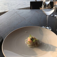International cuisine subzero - 