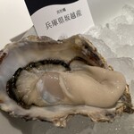 GUMBO AND OYSTER BAR   - 兵庫県坂越産 真牡蠣 ６１６円　(2021/12)