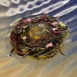 アントシカダ - 