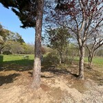 農園れすとらん木馬 - 