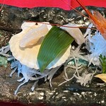 農園れすとらん木馬 - ほたてのお刺身