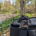 Ryokuyuu Shokudo & SPACE