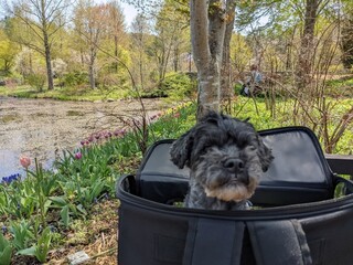 Ryokuyuu Shokudo & SPACE