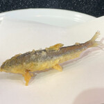 天ぷら  やました - 天ぷらやました(稚鮎)