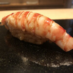 鮨 なかむら - 上天草の車海老