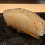 鮨 なかむら - 天草のアオリイカ