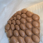 coccoya 미나미욧츠이점 - 에그 와플 플레인