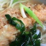 Tamagawa Udon - 天ぷらうどんのクローズアップ