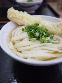 宮武うどん - かけうどん（小）イカ天のせ