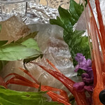 醍醐 - 真鯛の昆布締め