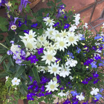 レーブドゥシェフ - 