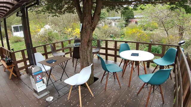 馬車路 - 白石（カレー）の写真