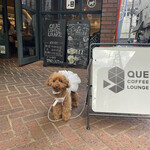 QUE COFFEE LOUNGE - 