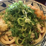 Marugame Seimen - 